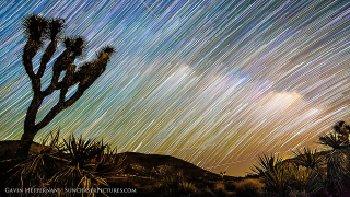Illustration for article titled Camelopardalids over Joshua Trees